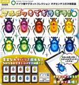 画像: STC ドイツ箱マグネットコレクション オオセンチコガネ特装版（１１月）【▲５００円カプセル　２０個入り　いきもん】＋正規台紙