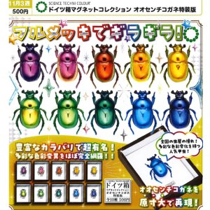画像: STC ドイツ箱マグネットコレクション オオセンチコガネ特装版（１１月）【▲５００円カプセル　２０個入り　いきもん】＋正規台紙