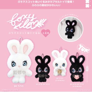 画像: foxy illustrations　ぷちマスコットぬいぐるみ（１２月）【▲５００円カプセル　２０個入り　フクヤ】＋正規台紙
