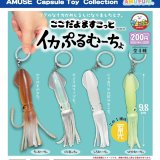 画像: ここだよますこっとイカぷるむーちょ（１２月）【▽２００円カプセル　５０個入り　アミューズ】＋正規台紙