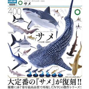 画像: NTC400 サメ（再販）（１２月）【▽４００円カプセル　３０個入り　いきもん】＋正規台紙