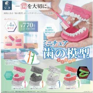 画像: ＴＦＣ　ミニチュア歯の模型（１２月）【▽１ＢＯＸ４個入り　SO-TA】