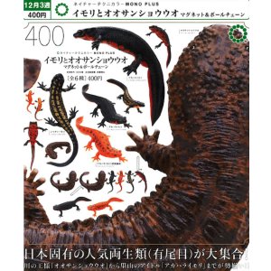 画像: NTC MONO+ イモリとオオサンショウウオ マグネット&ボールチェーン（再販）（１２月）【▽４００円カプセル　３０個入り　いきもん】＋正規台紙