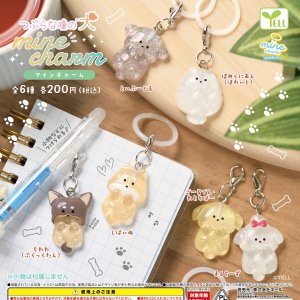画像: つぶらな瞳の犬mineチャーム(12月)【▽200円カプセル 50個入り エール】+正規台紙