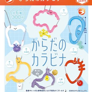 画像: からだのカラビナ（１２月）【▽３００円カプセル　４０個入り　ブライトリンク】＋正規台紙