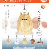 画像: ジュエリーヌ めじるしコレクション（１２月）【▽３００円カプセル　４０個入り　ブライトリンク】＋正規台紙