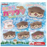 画像: もふかわカワウソ フェイスマグネット（１２月）【▽３００円カプセル ４０個入り ザ・アクセス】＋正規台紙