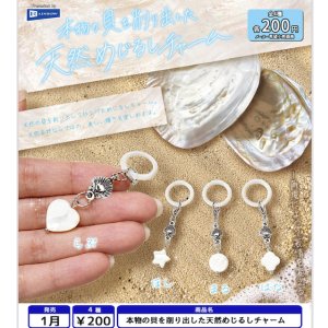 画像: 本物の貝を削り出した天然めじるしチャーム（１月）【▼２００円カプセル ５０個入り レインボー】＋正規台紙