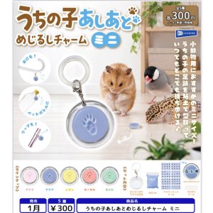 画像: うちの子あしあとめじるしチャーム ミニ（１月）【▼３００円カプセル ４０個入り レインボー】＋正規台紙
