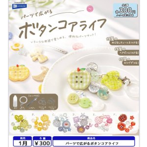 画像: パーツで広がるボタンコアライフ（１月）【▼３００円カプセル ４０個入り レインボー】＋正規台紙