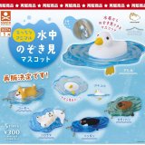 画像: もっちりアニマル 水中のぞき見マスコット（再販）（１月）【▼３００円カプセル ４０個入り スタンド・ストーンズ】＋正規台紙
