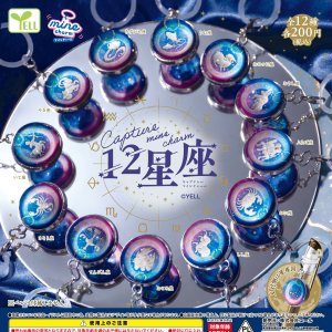 画像: ｃａｐｔｕｒｅ ｍｉｎｅチャーム（１２星座）（１月）【▼２００円カプセル ５０個入り エール】＋正規台紙