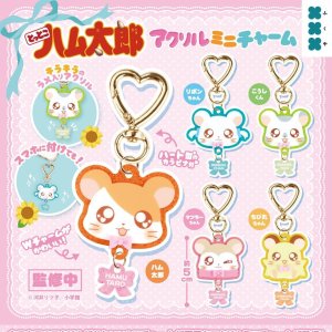 画像: とっとこハム太郎 アクリルミニチャーム（１月）【▼４００円カプセル ３０個入り フクヤ】＋正規台紙