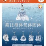 画像: 猫は液体気体固体 めじるしコレクション（２月）【▼３００円カプセル ４０個入り ブライトリンク】＋正規台紙