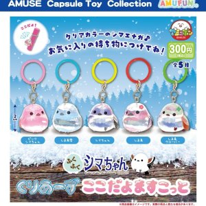 画像: ふくふくシマちゃん くりあーずここだよますこっと(2月)【〇300円カプセル 40個入り アミューズ】+正規台紙