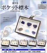 画像: 旅するポケット標本 天然鉱石博物館（２月）【〇300円カプセル 40個入り レインボー】＋正規台紙