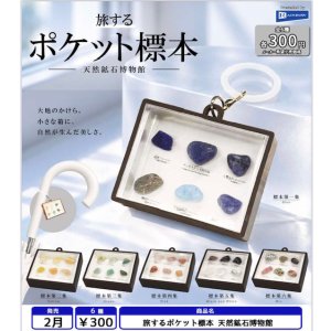 画像: 旅するポケット標本 天然鉱石博物館（２月）【〇300円カプセル 40個入り レインボー】＋正規台紙