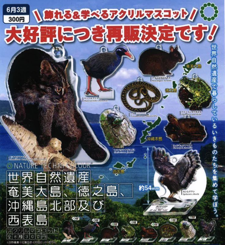画像1: NTC 世界自然遺産 奄美大島、徳之島、沖縄島北部及び西表島 アクリルマスコット（再販）（６月）＋正規台紙１枚（付属サービス)