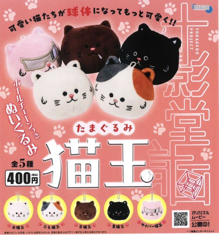 ピンクの猫 419jwG1SH2L.jpg_BO30,255,255,