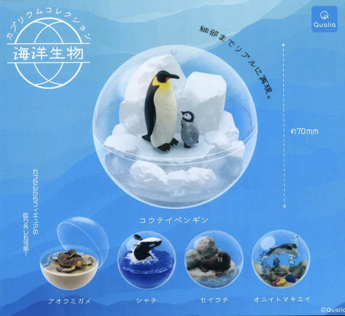 カプリウムコレクション 海洋生物 | Qualia