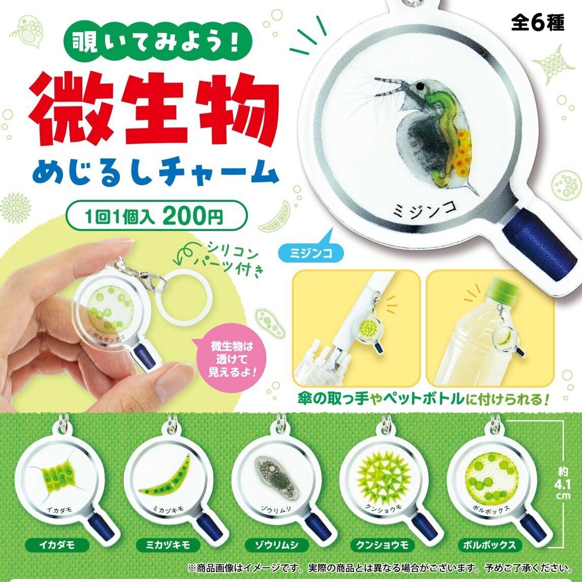覗いてみよう！微生物めじるしチャーム（5月）【☆200円カプセル 