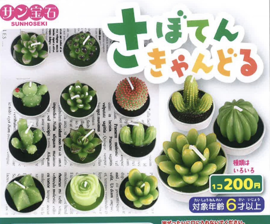画像1: さぼてんきゃんどる（７月）【◆２００円カプセルトイ　５０個入り　サン宝石】＋正規台紙