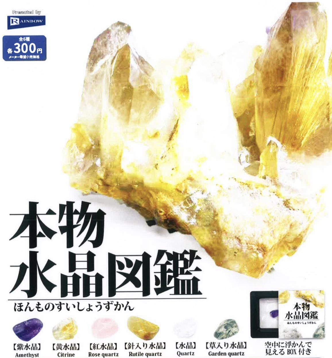 画像1: 本物水晶図鑑（８月）【□３００円カプセルトイ　４０個入り　レインボー】＋正規台紙