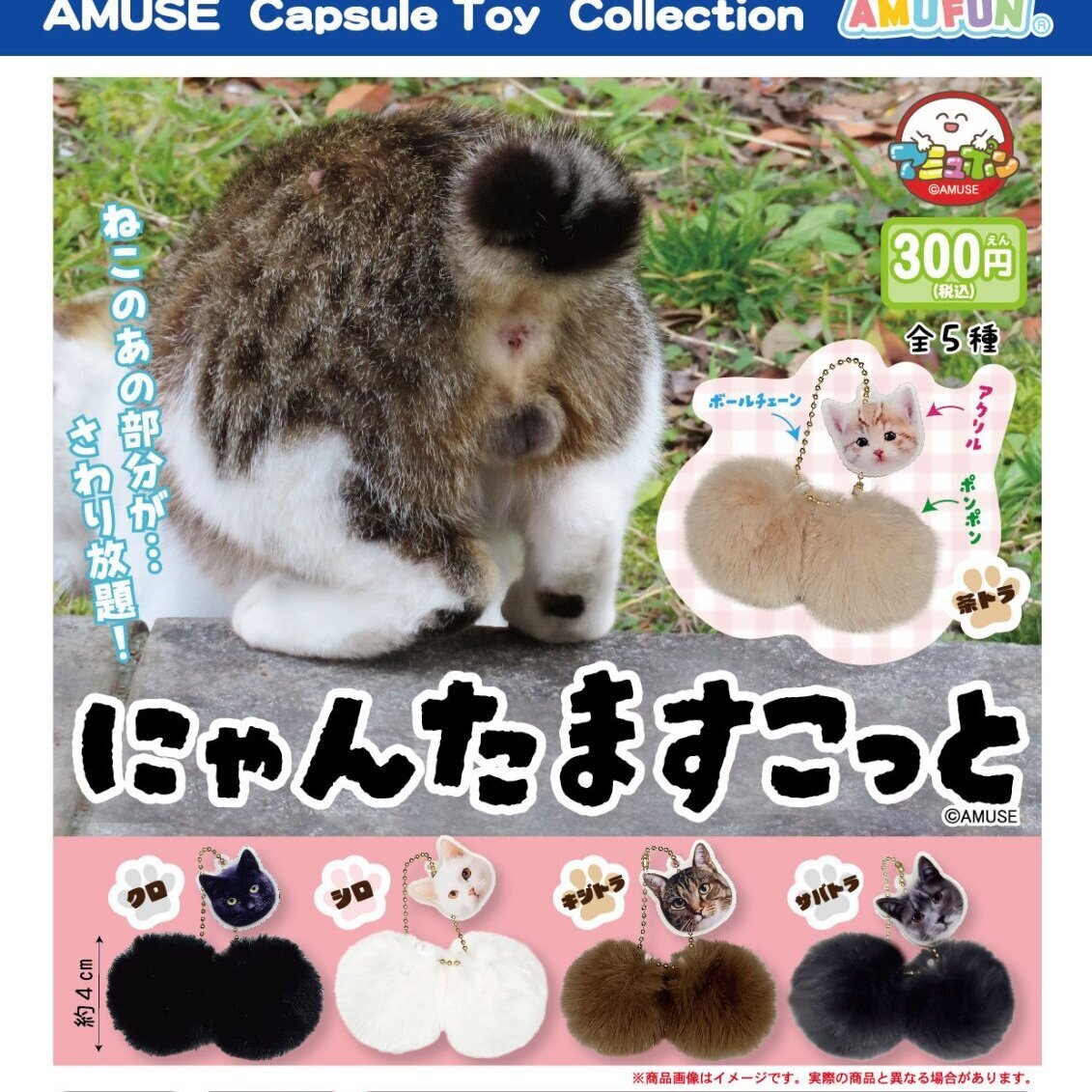 画像1: にゃんたますこっと（９月）【■３００円カプセルトイ　４０個入り　アミューズ】＋正規台紙