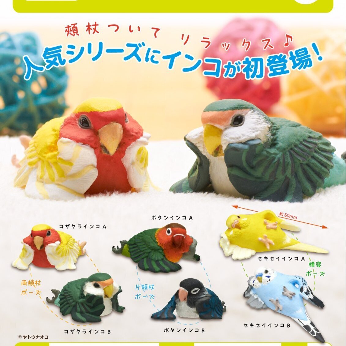 画像1: ことりの休日　くつろぎインコ（９月）【■４００円カプセルトイ　３０個入り　奇譚クラブ】＋正規台紙