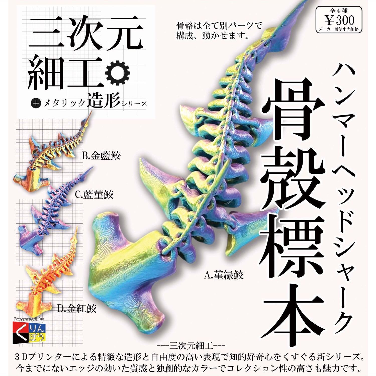 画像1: 三次元細工 ハンマーヘッドシャーク骨殻標本（９月）【■３００円カプセルトイ　４０個入り　くりんぼう】＋正規台紙