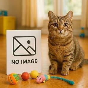 うんたねこ BIGぬいぐるみ（2月） - stale