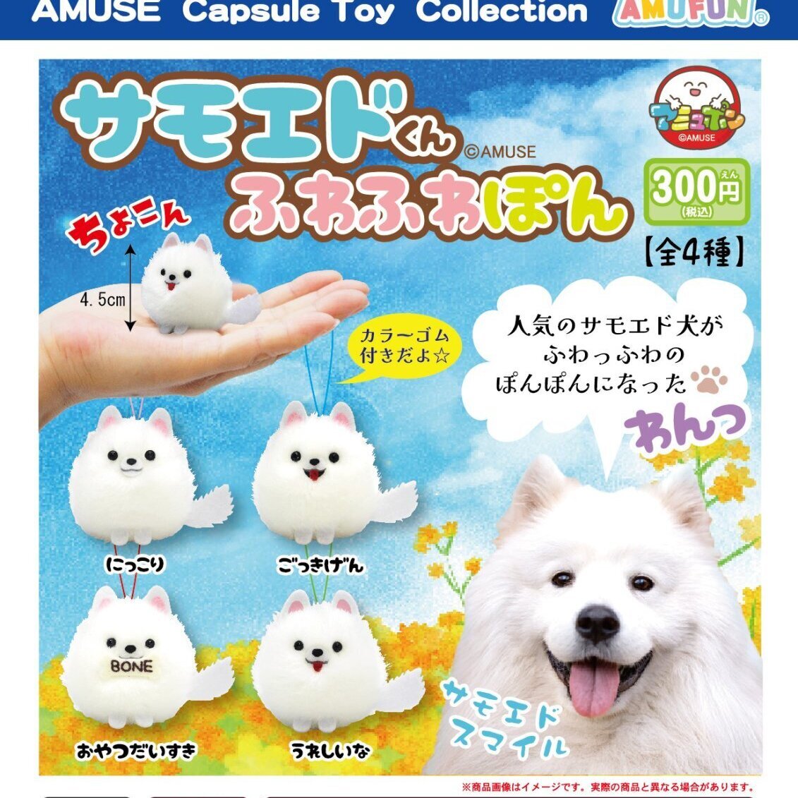 画像1: サモエドくんふわふわぽん（３月）【○３００円カプセル　４０個入り　アミューズ】＋正規台紙