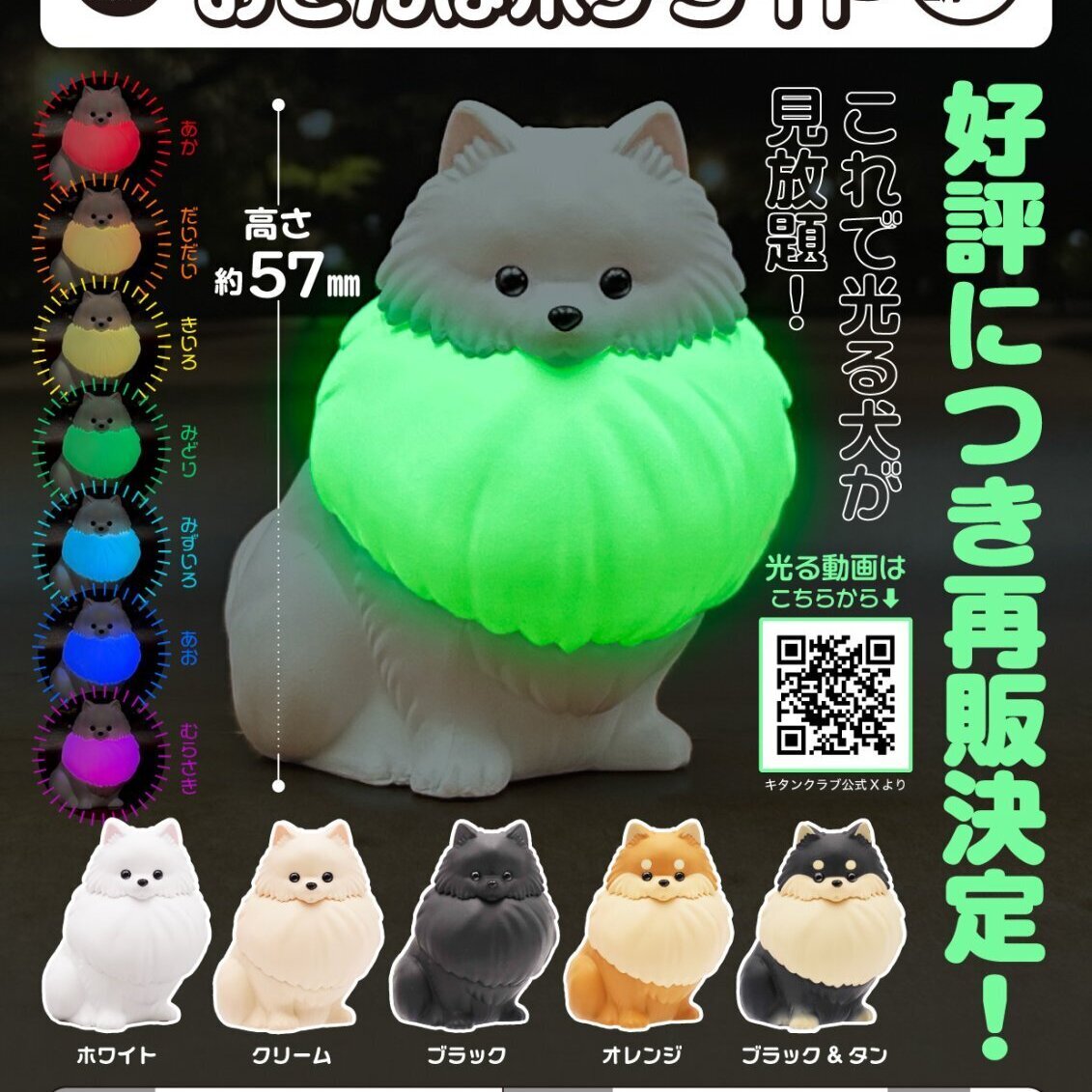 画像1: 光る首輪をつけた　おさんぽポメライト（再販）（２月）【○５００円カプセル　２０個入り　奇譚クラブ】＋正規台紙