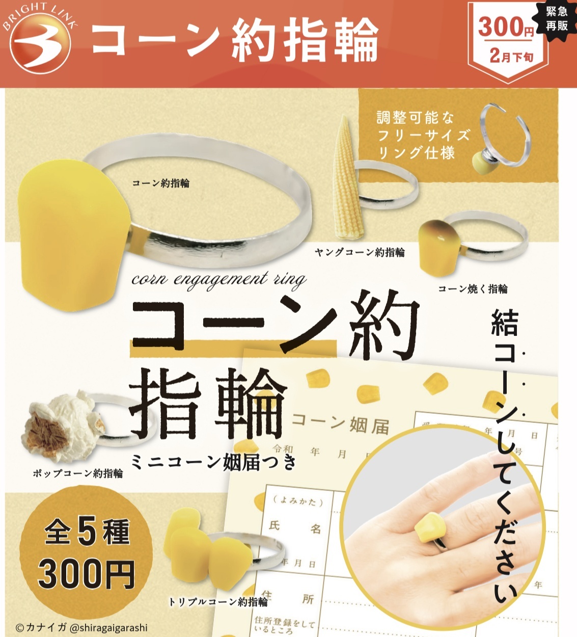 画像1: 緊急!!!!１２月１９日AM８時締め切り／コーン約指輪（再販）（２月）【●３００円カプセル　４０個入り　ブライトリンク】＋正規台紙