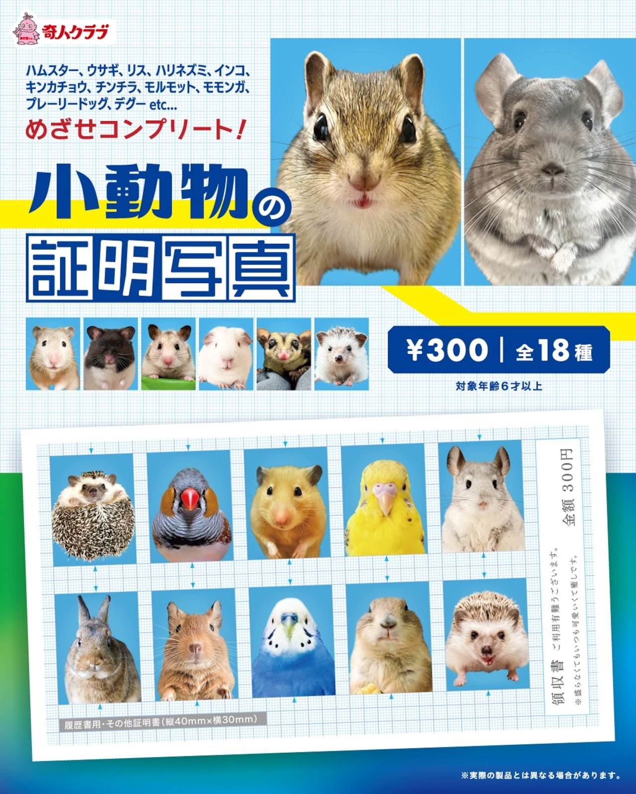 画像1: 小動物の証明写真（１月）【●３００円カプセル　１カートン２００個入り　奇人クラブ】