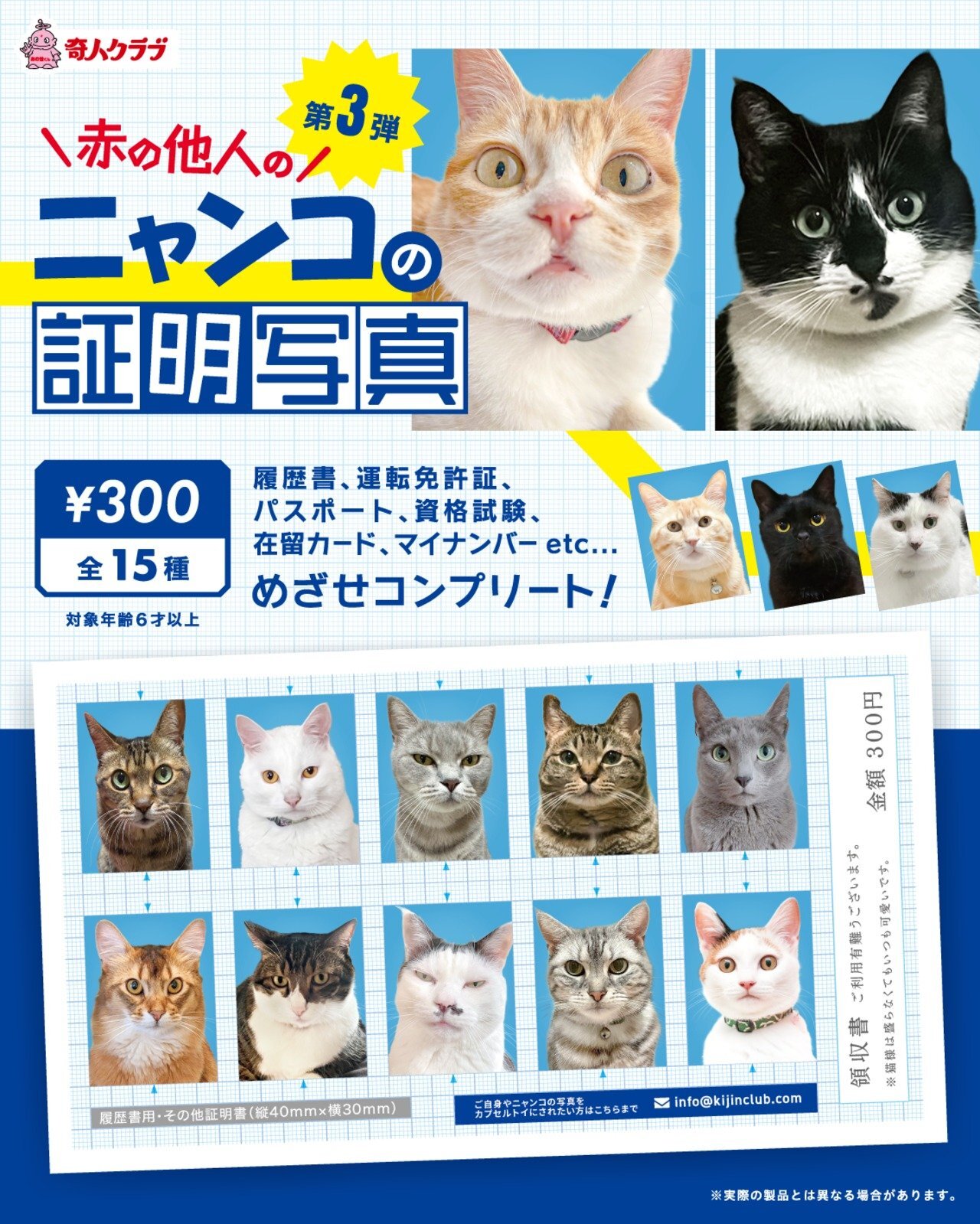 画像1: ニャンコの証明写真（第三弾）（１月）【●３００円カプセル　１カートン２００個入り　奇人クラブ】