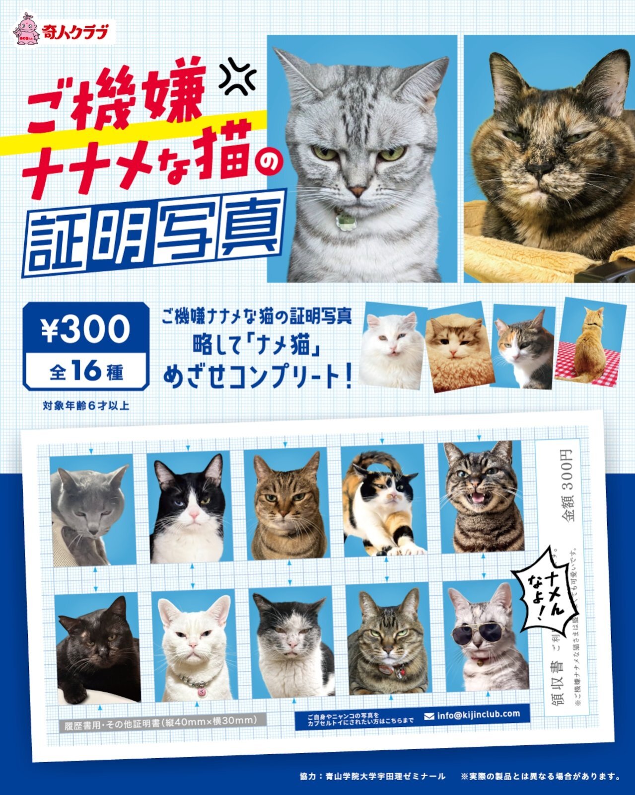 画像1: ご機嫌ナナメな猫の証明写真（１月）【●３００円カプセル　１カートン２００個入り　奇人クラブ】