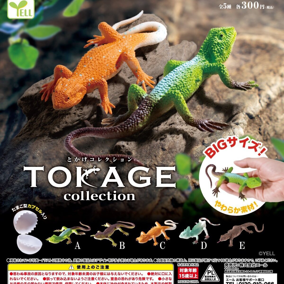 画像1: とかげコレクション（４月）【☆３００円カプセル　４０個入り　エール】＋正規台紙