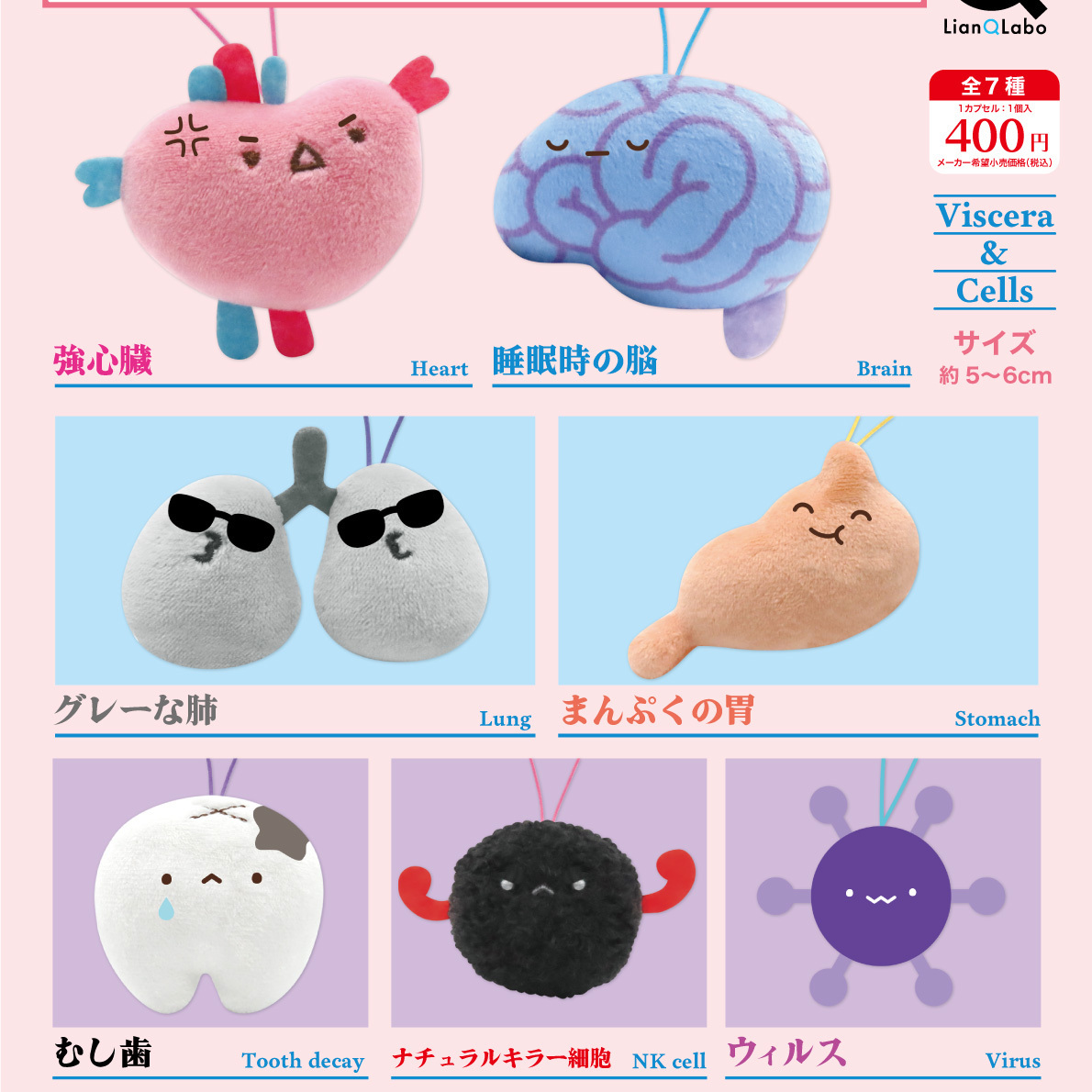 画像1: ないぞうくんとさいぼうちゃん。マスコット６（５月）【☆４００円カプセル　３０個入り　リアンＱ】＋正規台紙