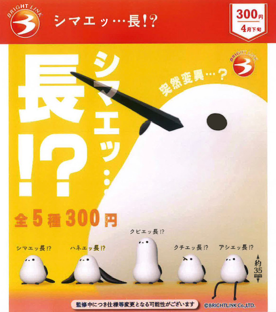 画像1: シマエッ・・・長！？（４月）【☆３００円カプセル　４０個入り　ブライトリンク】＋正規台紙