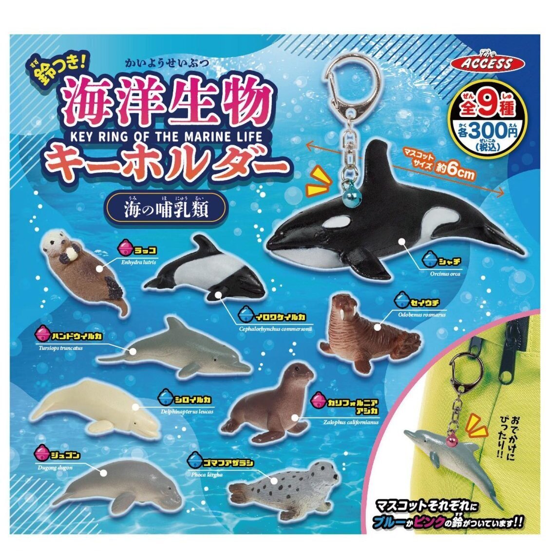 画像1: 鈴つき！海洋生物キーホルダー　海の哺乳類（４月）【☆３００円カプセル　４０個入り　アクセス】＋正規台紙