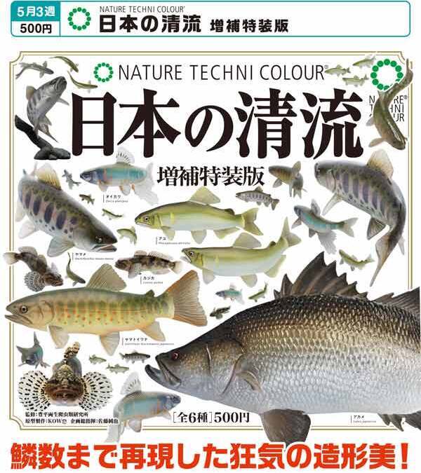 画像1: NTC 日本の清流 増補特装版（再販）（５月）【★５００円カプセル　２０個入り　いきもん】＋正規台紙