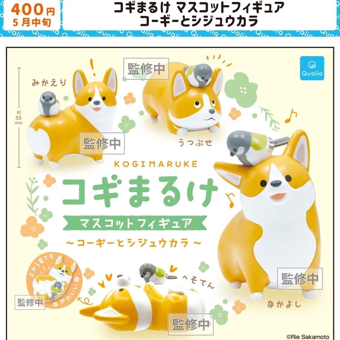 画像1: コギまるけ マスコットフィギュア コーギーとシジュウカラ（５月）【★４００円カプセル　３０個入り　クオリア】＋正規台紙