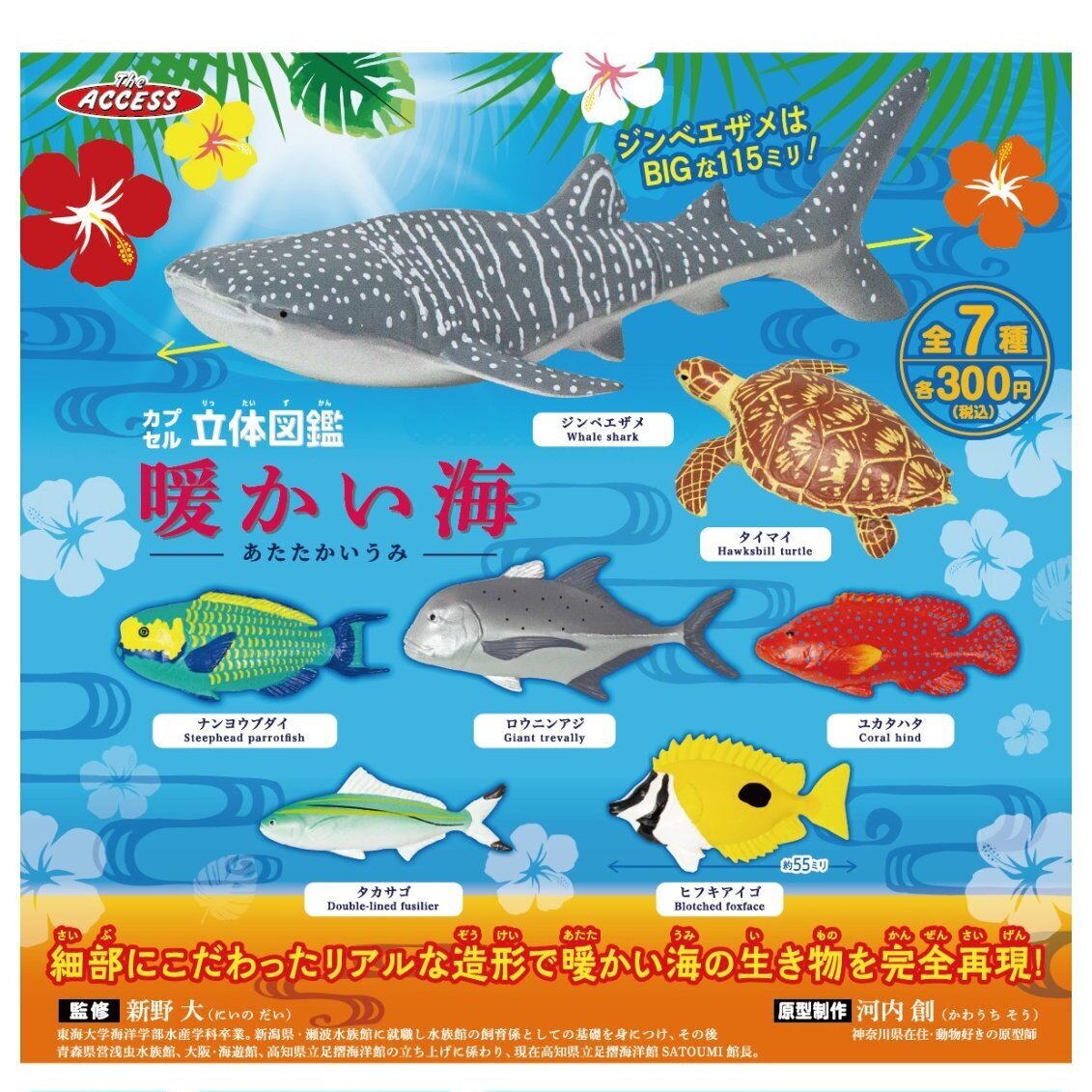 画像1: カプセル立体図鑑　暖かい海（５月）【★３００円カプセル　４０個入り　アクセス】＋正規台紙