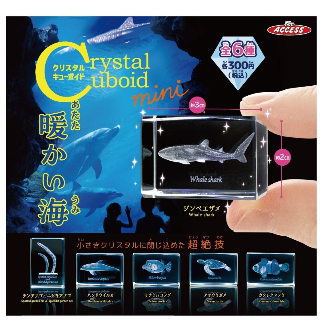 画像1: クリスタルキューボイドミニ　暖かい海（５月）【★３００円カプセル　４０個入り　アクセス】＋正規台紙