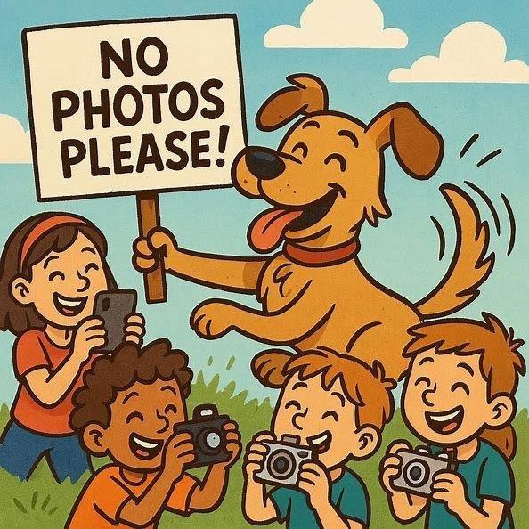 画像1: ジョジョの奇妙な冒険　ダイヤモンドは砕けない　感知して動く　シアーハートアタック（７月）