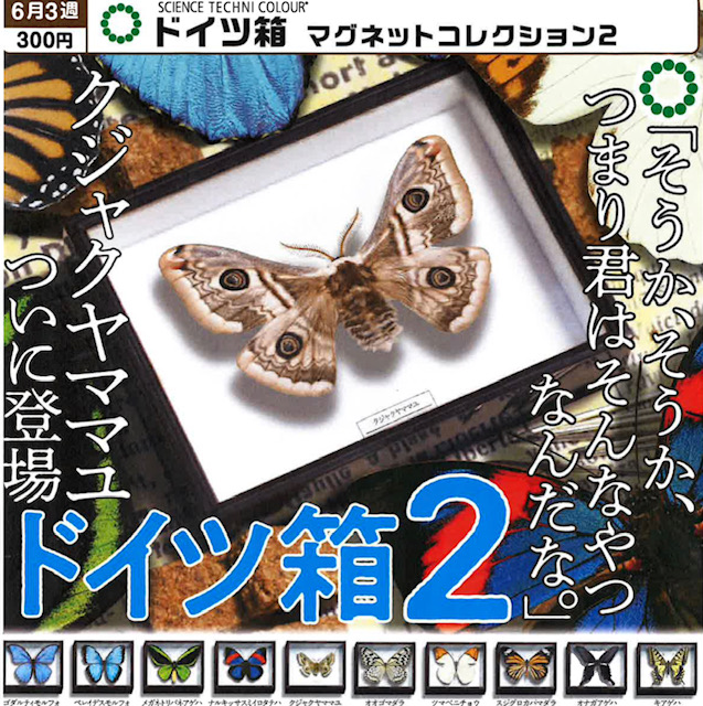 画像1: STC ドイツ箱マグネットコレクション２（再販）（６月）【◇３００円カプセル　４０個入り　いきもん】＋正規台紙