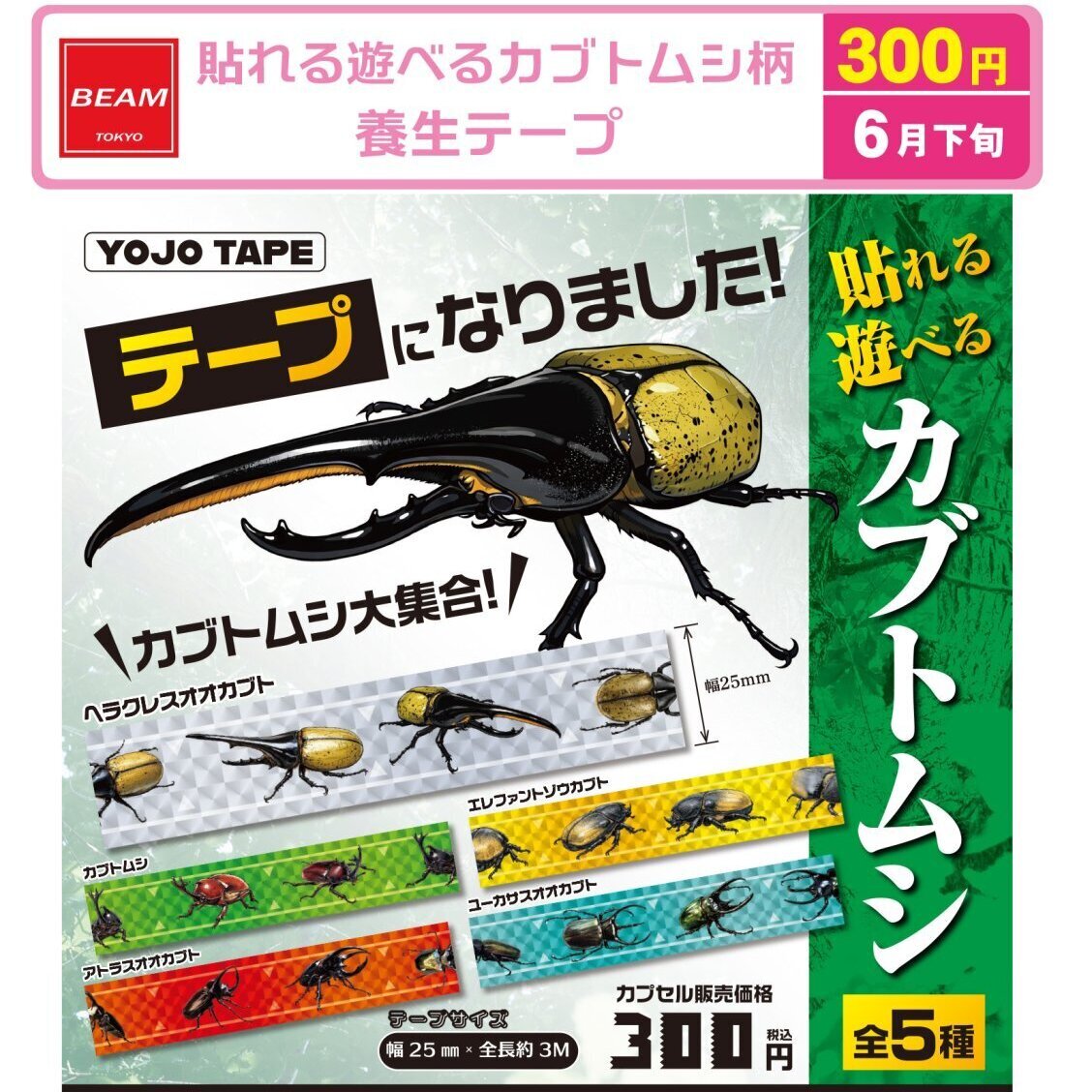 画像1: 貼れる遊べるカブトムシ柄　養生テープ（６月）【◇３００円カプセル　４０個入り　ビーム】＋正規台紙
