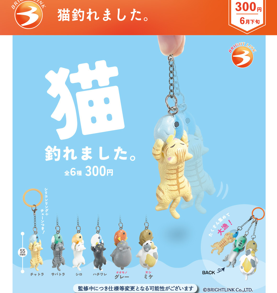 画像1: 猫釣れました。（６月）【◇３００円カプセル　４０個入り　ブライトリンク】＋正規台紙
