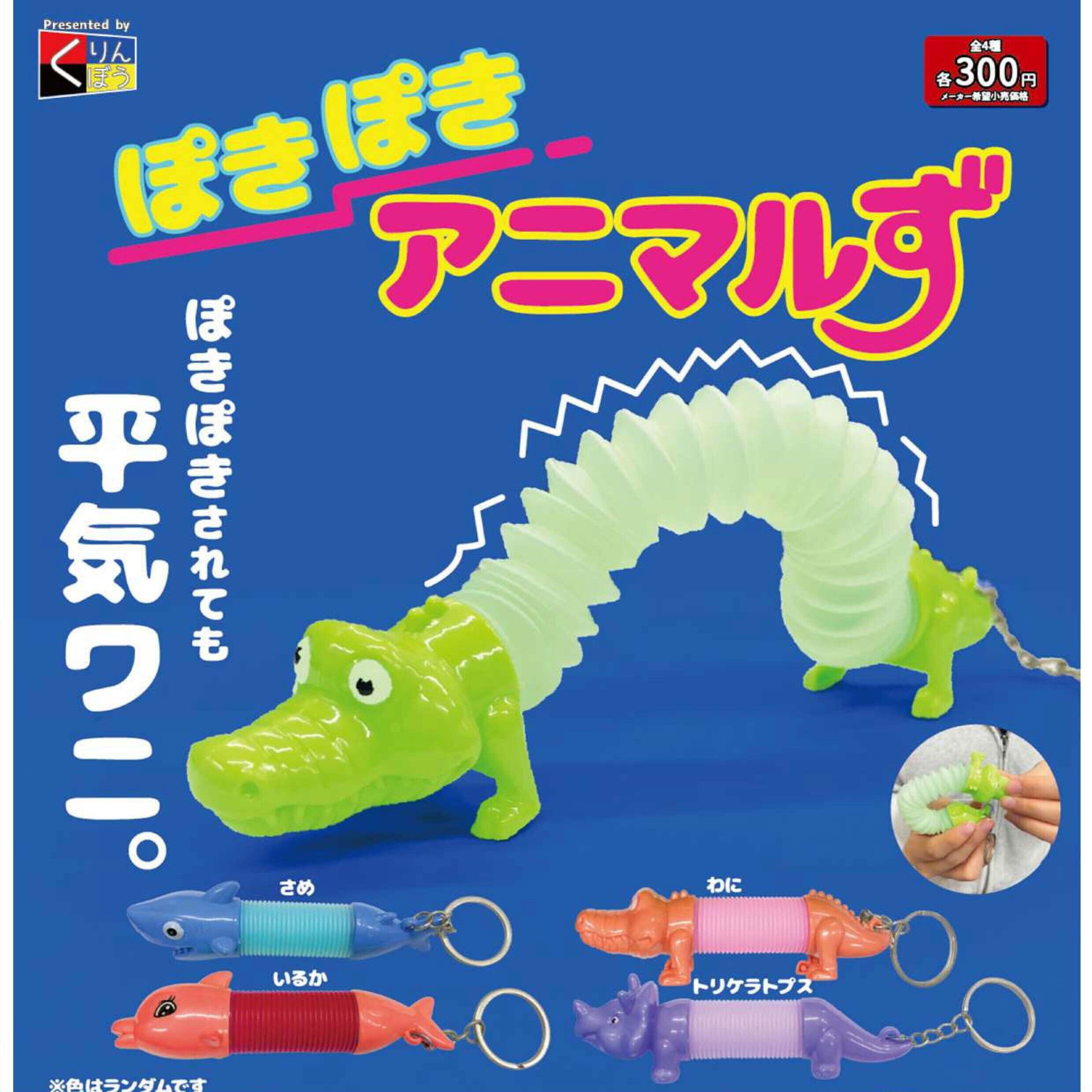 画像1: ぽきぽきアニマルず（６月）【◇３００円カプセル　４０個入り　くりんぼう】＋正規台紙